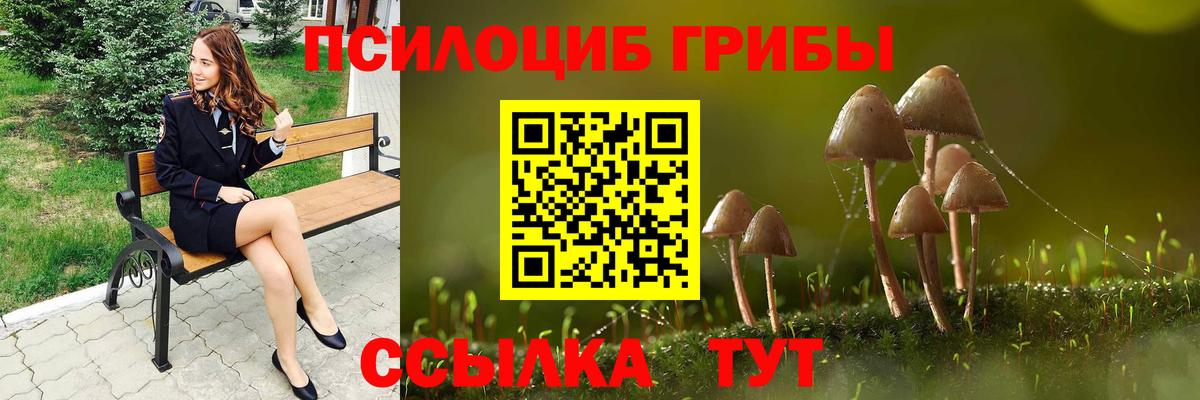 Галлюциногенные грибы Cubensis  Вход с VPN  Бутурлиновка 